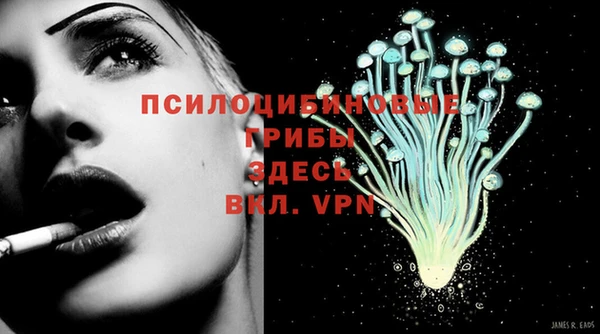 mix Карпинск